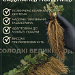 Клубника "Белый швед" (средний срок созревания, один из самых необычных сортов) купить