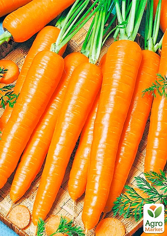 Морковь "Оранжевый мед" (Большой пакет) ТМ "Весна" 7г - фото 2