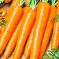 Морковь "Оранжевый мед" (Большой пакет) ТМ "Весна" 7г купить
