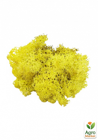 Норвезький мох стабілізований "Жовтий" 500 г