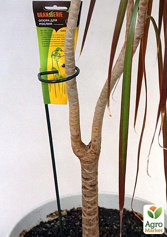 Опора для рослин ТМ "ORANGERIE" тип G (зелений колір, висота 300 мм, кільце 30 мм, діаметр дроту 3 мм) - фото 3