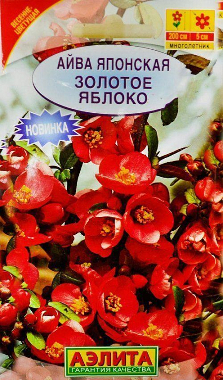 Айва японська "Золоте яблуко" ТМ "Аеліта" 10шт