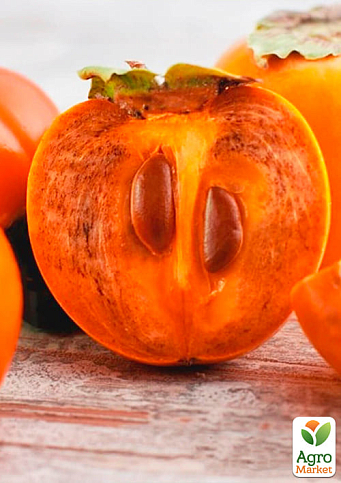 Хурма на віргінській морозостійкій підщепі  "Зенджи мару" (Шоколадниця) вищий сорт! - фото 6