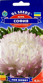 Айстра "Софія" ТМ "GL Seeds" 0.3г2