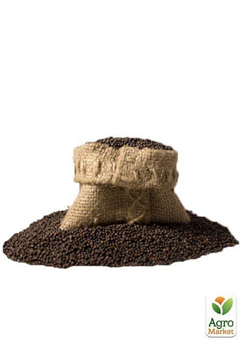 На развес Капуста кольраби "Белый деликатес" ТМ "Весна" цена за 2г - фото 3