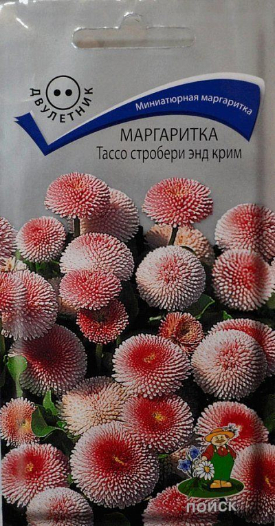 Маргаритка "Тассо Стробері енд Крим" ТМ "Пошук" 20шт