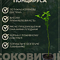 Понцирус Trifoliata (дикий лимон)