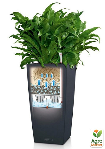 Розумний вазон з автополивом Lechuza Cubico color 30, пісочно-коричневий (13288) - фото 3