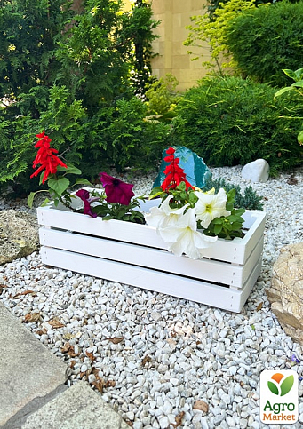 Ящик дерев'яний для зберігання декору та квітів "Франческа" довжина 44см, ширина 17см, висота 13см. (білий)