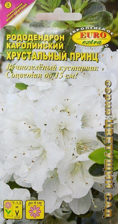 Рододендрон Каролинский "Кришталевий принц" ТМ "Аеліта" 0.002г