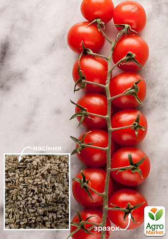 На развес Томат "Зимняя вишня" ТМ "Весна" цена за 1г