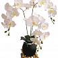 Орхидея искусственная на 3 веточки белая (ОБ1843)