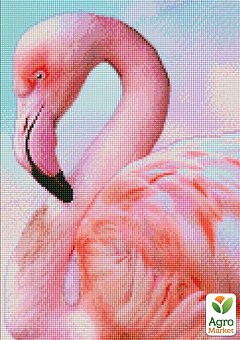 Алмазна мозаїка - Рожевий фламінго Ідейка AMO74701
