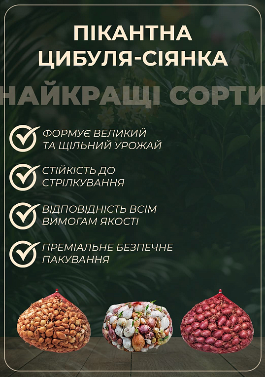 Лук-севок 1кг (арбажейка) "Дельфин" (Украина) - фото 2