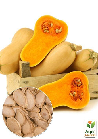 На развес Тыква "Арабатская" ТМ "Весна" цена за 10г