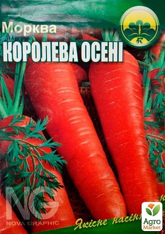 Морковь "Королева осени" (Большой пакет) ТМ "Весна" 7г - фото 2