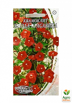 Квамоклит "Звезда-красавица" ТМ "Семена Украины" 0,5г1