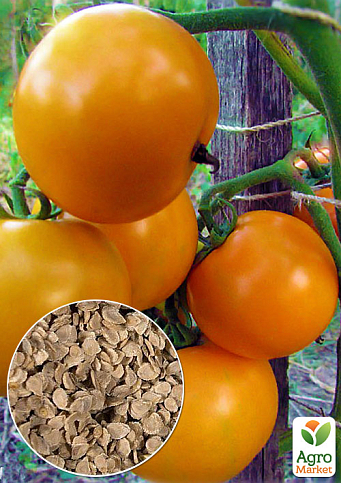 На вагу Томат "Дієтичний здоровань" ТМ "Весна" ціна за 2г