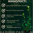 Жимолость "Синій птах" (ранній термін дозрівання, стійкий до осипання сорт) купить