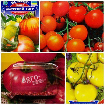 Комплект насіння томатів "Томатна палітра" 5уп