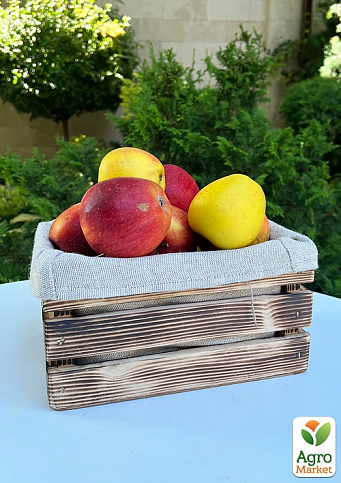 Ящик декоративный деревянный для хранения и цветов "Бланш" д. 25см, ш. 17см, в. 13см. (обожжённый с тканью)