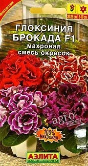 Глоксиния "Брокада F1" махровая смесь окрасок ТМ "АЭЛИТА" 5шт15