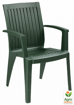 Кресло Papatya Ализе темно-зеленый (4514)2