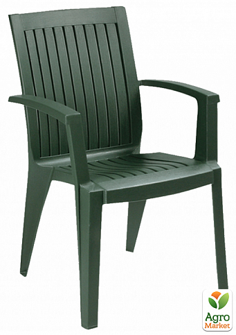 Кресло Papatya Ализе темно-зеленый (4514)