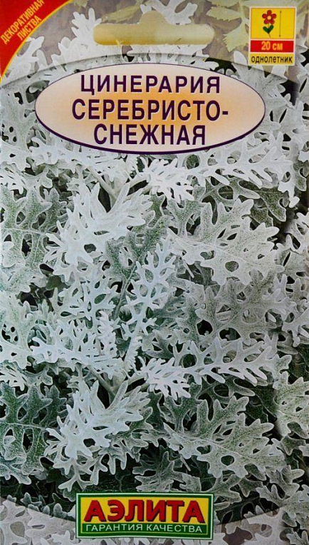 Цинерарія "Сріблястий-сніжна" ТМ "Аеліта" 0.1г