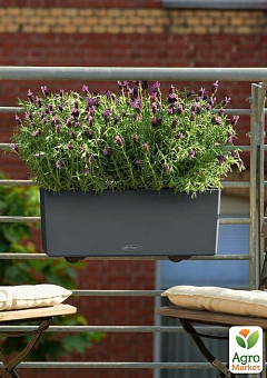 Умный вазон с автополивом Lechuza Balconera Color 50, серый (15673)18
