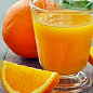 Ексклюзив! Апельсин яскраво-помаранчевий з рум'янцем "Аполлон" (Apollo) (преміальний, блахоухающий сорт) цена