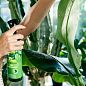 Жидкое удобрение для декоративно-лиственных растений COMPO 0,5л (2263) купить