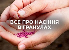 Насіння в драже: переваги, недоліки та поради щодо посадки | Agro-market
