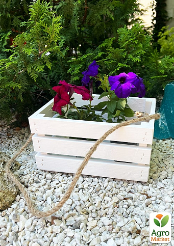 Ящик дерев'яний для зберігання декору та квітів "Бланш" довжина 25см, ширина 17см, висота 13см. (білий з довгою ручкою) - фото 3