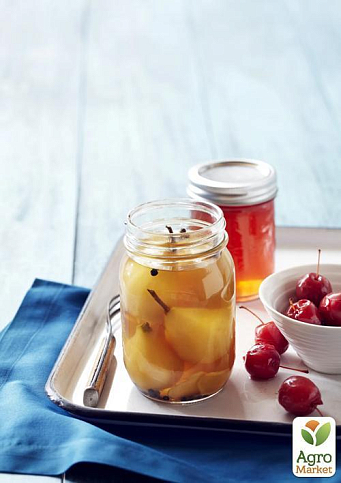 Груша "Бере Киевская" (зимний сорт, поздний срок созревания) - фото 6