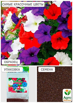 Петуния смесь (Зипер) ТМ "Весна" 1г25