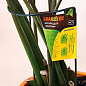 Опора для растений ТМ "ORANGERIE" тип С (зеленый цвет, высота 600 мм, кольцо 180 мм, диаметр проволки 4 мм) купить