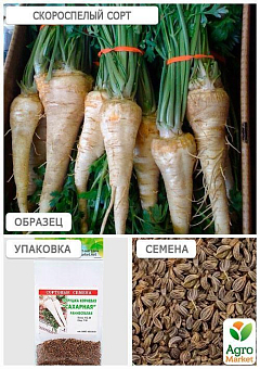 Петрушка корневая "Сахарная" (Зипер) ТМ "Весна" 5г4