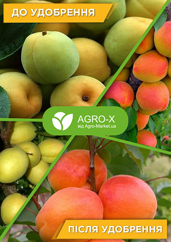 Минеральное удобрение BIOHYPER EXTRA "Для плодовых и ягодных" (Биохайпер Экстра) ТМ "AGRO-X" 100г - фото 2