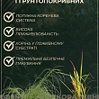 Валериана красная "Ruber" вазон С2