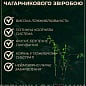 Звіробій Даммера "Peter Dummer" купить