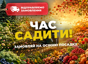 Час садити. Відправляємо Ваші замовлення!