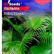 Пальма китайская "Ливистона" ТМ "GL SEEDS" 5шт