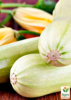 На развес Кабачок "Кустовой ранний" ТМ "Весна" цена за 8г6