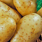 Картопля "Раномі" насіннєва рання (1 репродукція) 5кг