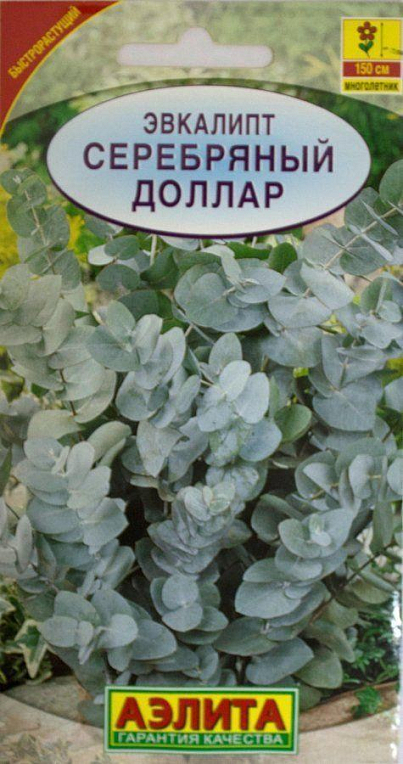 Евкаліпт "Срібний долар" ТМ "Аеліта" 5 шт
