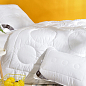 Одеяло зимнее Air Dream Exclusive двойное TM IDEIA 140х210 см 8-11763 цена