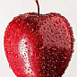 Яблуня "Джонаголд Декоста" (зимовий сорт, пізній термін дозрівання) цена