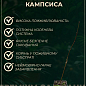 Кампсис красный "Flamenko"
