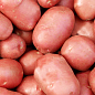 Картопля "Есмі" насіннєва рання (1 репродукція) 10кг